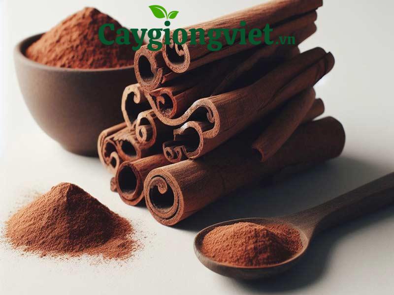 Sản phẩm từ vỏ cây quế