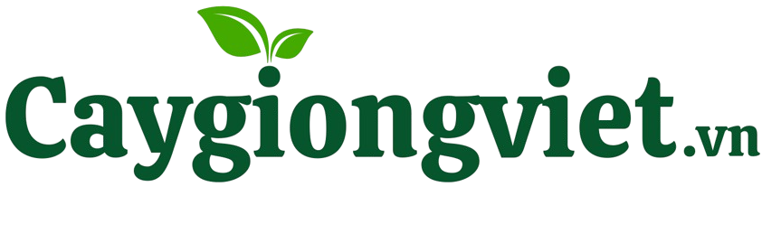 Cây Giống Việt