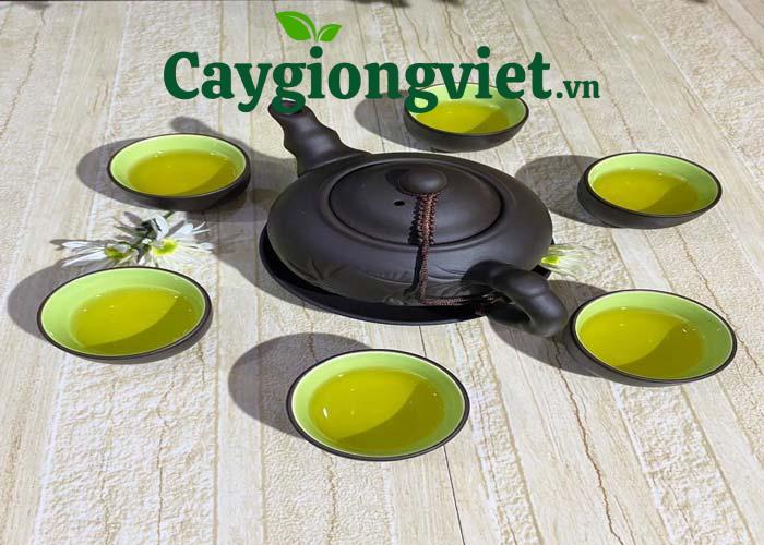 Nước chè xanh