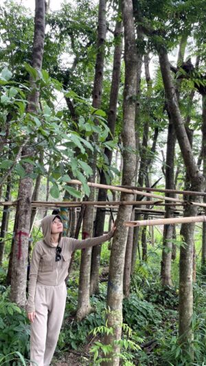 Cây Sưa Đỏ (trắc thối) q2